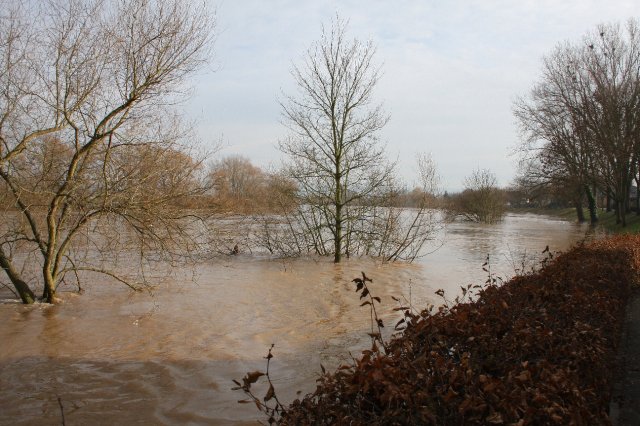 Hochwasser Seligenstadt 18.01.2011 002.JPG